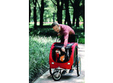 Jogger Conversion Kit