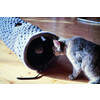 Plush tunnel  DIAMOND 