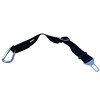 Seatbelt