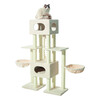 Cat-scratcher  USAK 