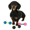 Dog toy TPR Dumbell in Display - 32 pcs