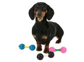 Dog toy TPR Dumbell in Display - 32 pcs