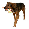 Ball on a Rope 37 cm  orange Cotton