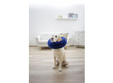 Collerette pour chiens gonflable bleue  25-35cm