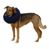 Collerette pour chiens gonflable bleue  25-35cm
