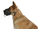 Leather Muzzle L  black  C 30 cm  basket depth 8.5 cm