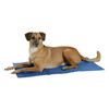 Tapis rafraichissant CoolRelax bleu  50x40cm