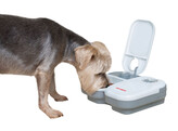 Cat Mate Automatic Feed Dispenser 2 meals