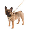 Puppy harness with rope  beige  30-50cm / 10mm