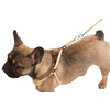 Puppy harness with rope  beige  30-50cm / 10mm