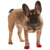 Dog socks Bruno M   grey/red
