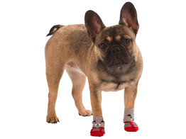 Chaussettes pour chien Bruno gris/rouge  taille L