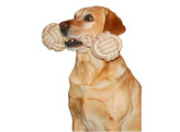 Haltere jute/coton  beige  25cm  O7cm