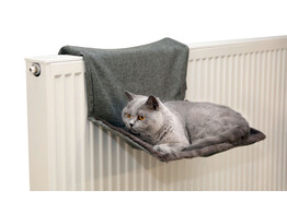 Hamac pour chat Paradies gris  45X30cm