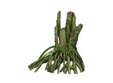 Aqua Ornaments  ROOT   32 5 x 19 5 x 33 cm