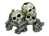 Aqua Ornaments  SKULLS   23 x 16 x 14 5 cm
