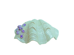 Aqua Ornaments  SHELL   14 5 x 10 7 x 5 3 cm