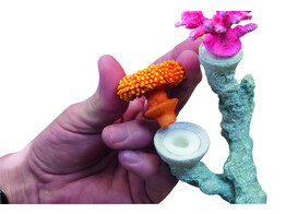 Aqua Ornaments  CORALS   removable heads  26 6 x 21 3 x 18 5 cm