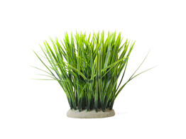 Aqua Ornaments  VALLISNERIA   11 5 x 7 x 20 cm