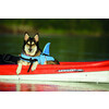 Dog Buoyancy Aid  Sharki 