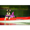 Dog Buoyancy Aid  Sharki 