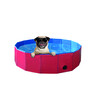 Piscine pour chien