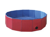 Piscine pour chien