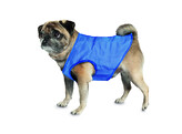 Pet Ice Vest