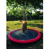 Splash Pool