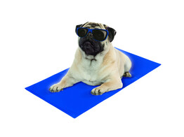 Cooling mat