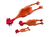 Latex chicken