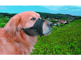 Muzzle adjustable