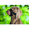 Nylon Muzzle Loop