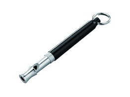 Training whistle