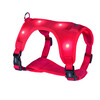 Harness  FLASH MESH 