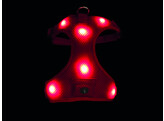 Harness  FLASH MESH 