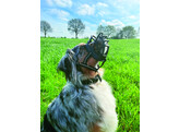 Muzzle Comfort