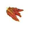 StarSnack Barbecue Chicken Stick