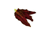 StarSnack Barbecue Duck Stick