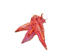 StarSnack Barbecue Chicken Stick