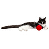 Balle de jeu laine pour chat rouge  O10cm