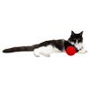 Balle de jeu laine pour chat rouge  O10cm