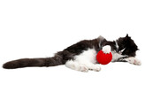 Balle de jeu laine pour chat rouge  O10cm