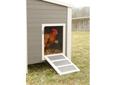 Poulailler ECO Barney PP  137X73X83cm