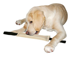 Boudin de mordant pour chien beige/noir  flottant  31cm