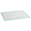 Trainingspad 60x45cm