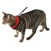Kattentuig Active rood met lijn 120 cm