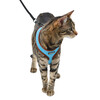 Kattentuig Active blauw met lijn 120 cm