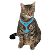 Kattentuig Active blauw met lijn 120 cm