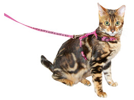 Kattentuig met lijn 120cm x 10mm  pink